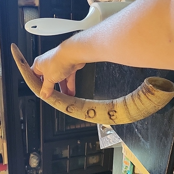 Antique Sheep's Horn,Perfect Carving of the #309. - Picture 7 of 8